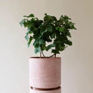 Bergs Hoff RAW Rosa, Ø 21 cm, Pot, Potte med raw rosa underskål