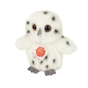 Teddy Snøugle