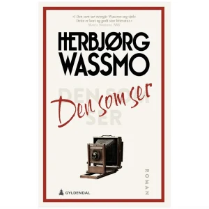 Den som ser – Herbjørg Wassmo